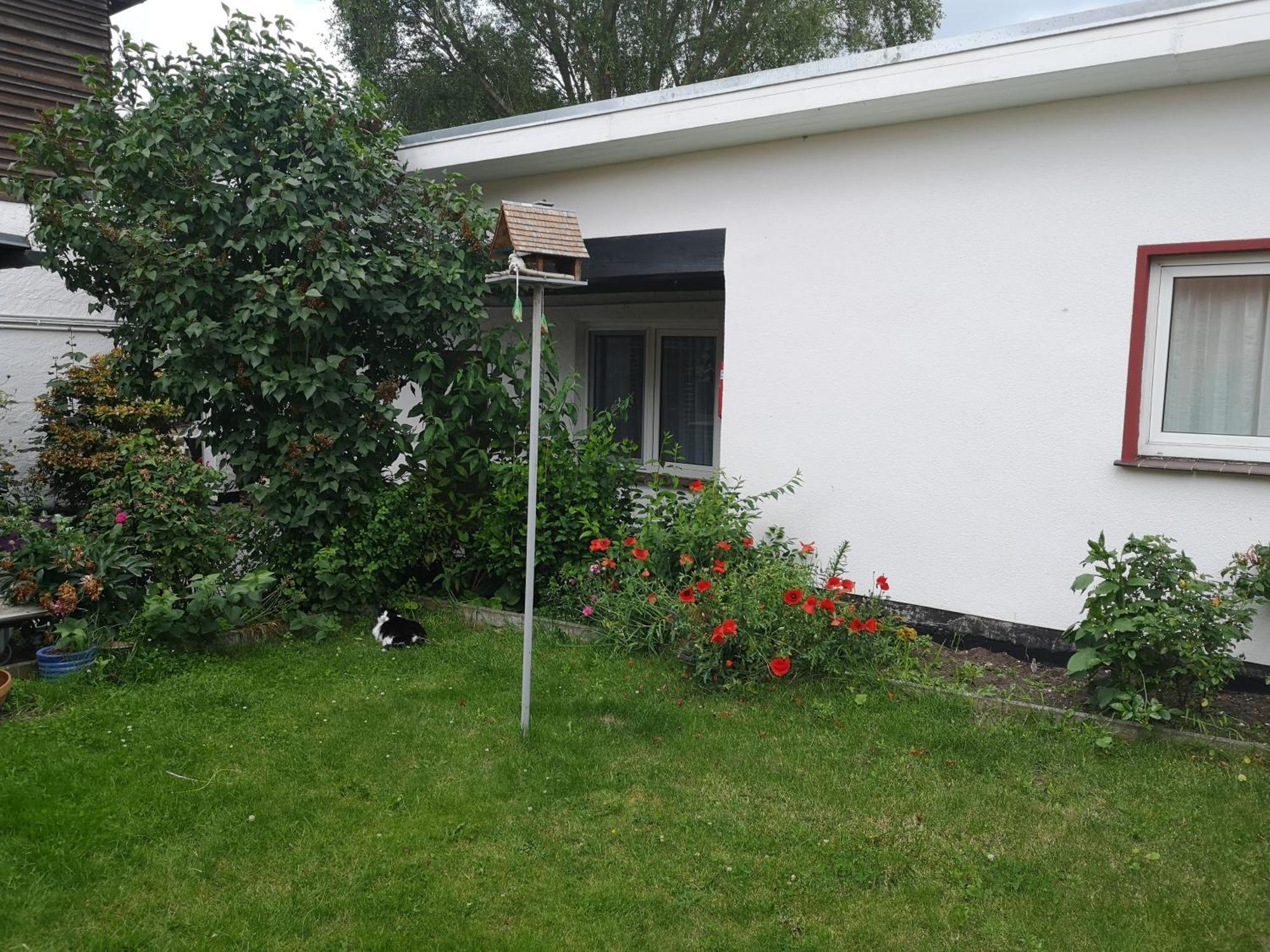 Uschi'S Gasthof Neuendorf  ภายนอก รูปภาพ